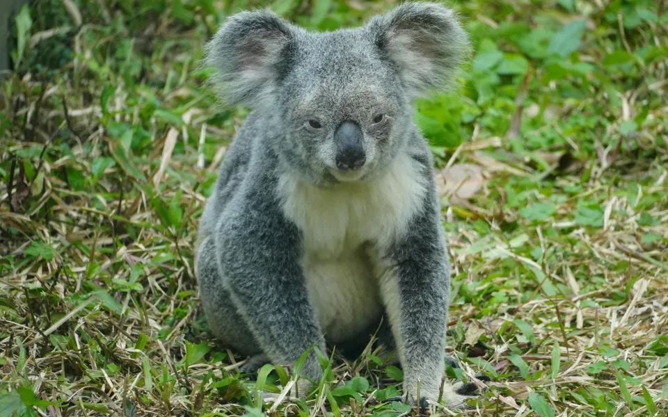 Wat vond je van de stad?  De stad is kleiner dan ik verwacht had. Jammer genoeg is er niet veel te beleven op het gebied van toerisme of highlights in de stad. Verder is het een vrij rustige stad en zijn de mensen erg vriendelijk. Wat ik wel erg mooi vond aan de stad is dat er overal natuur te vinden is.  Wat vond je van de stage?  De stage is mij goed bevallen. De eerste weken waren heel erg lastig omdat ik een beetje last van heimwee had. Maar achteraf kijk ik toch positief terug op een leuke en leerzame 