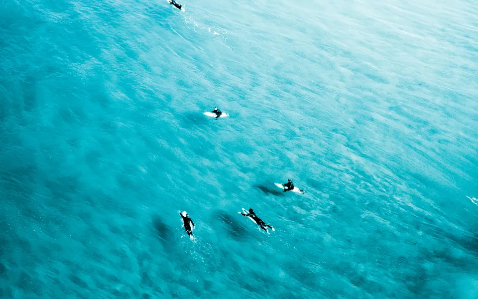 Australie stage buitenland