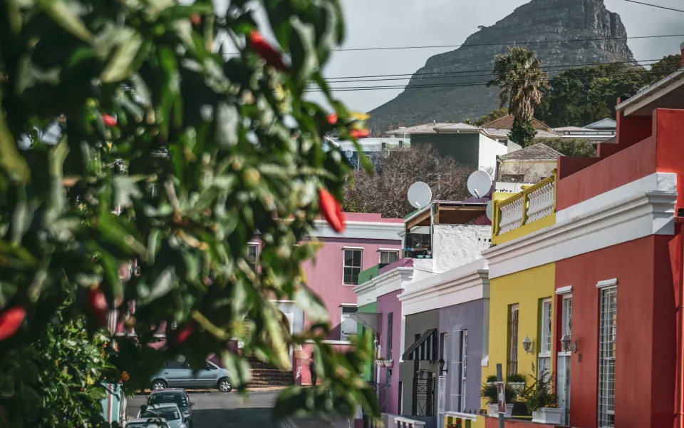 Kaapstad stage Zuid Afrika 1