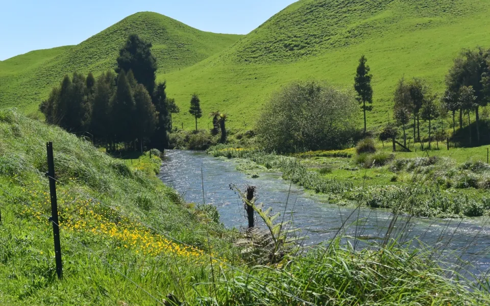 Consultant Sanne tijdens haar stage in Nieuw-Zeeland!  1