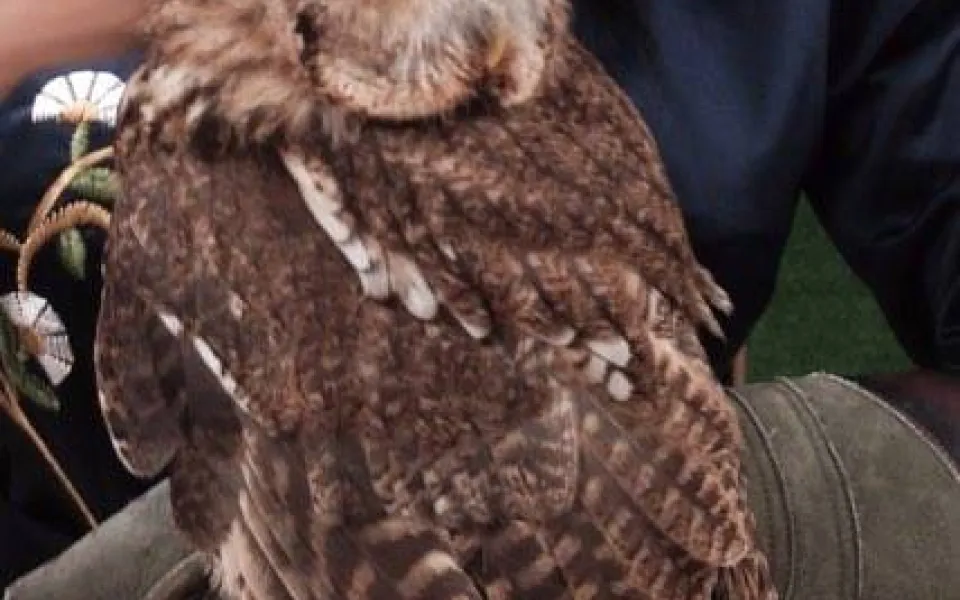 Linda tijdens haar stage in Tokyo, Japan