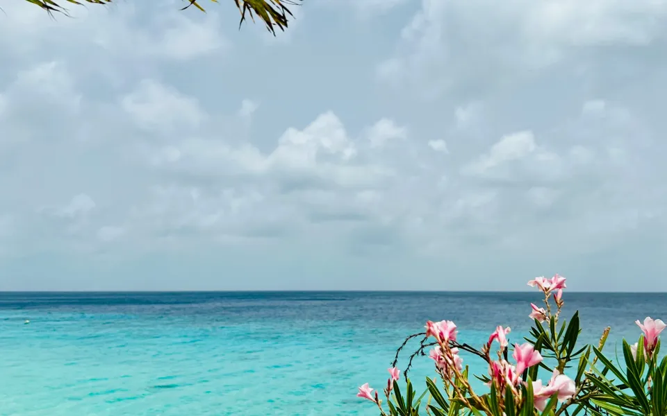 Stage visum Bonaire