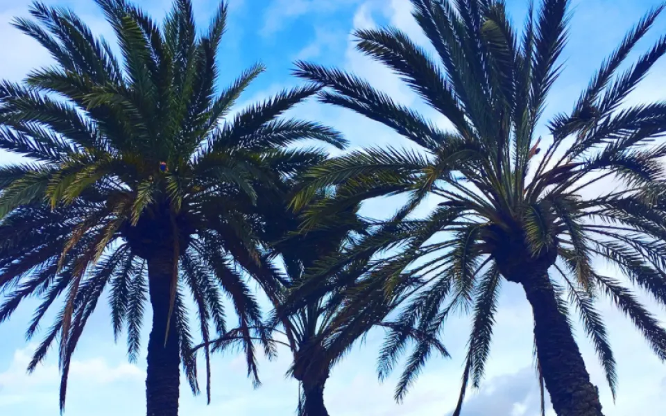 Fleurance tijdens haar stage in Barcelona 2