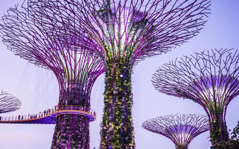 Steven tijdens zijn stage in Singapore