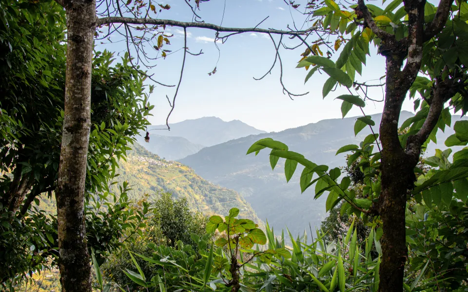 Huisvesting stage Costa Rica