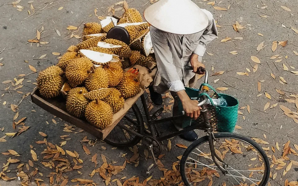 Kosten stage Vietnam