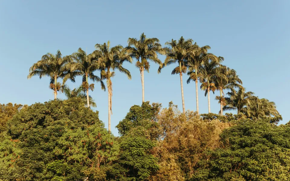 Steden stage Brazilie