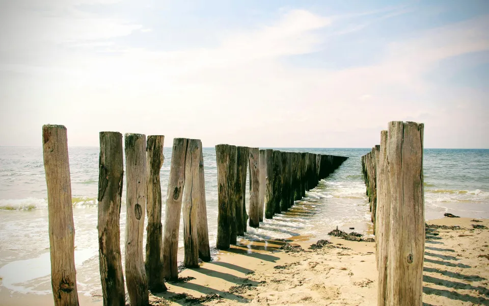 Taalreis stage Nederland