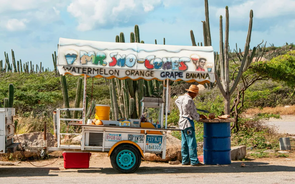 Verzekering stage Aruba
