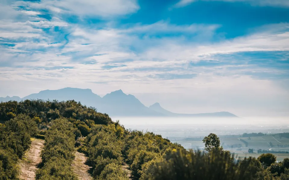 Verzekering stage Zuid-Afrika
