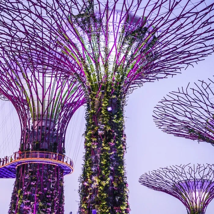 Steven tijdens zijn stage in Singapore