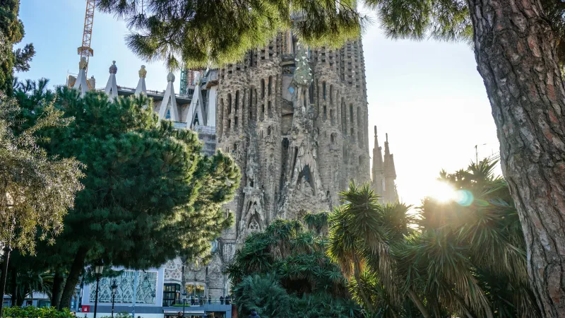 Internship in Barcelona, Spain